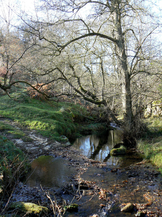 Highlow Brook Highlow Brook